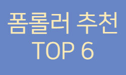 폼롤러 추천 TOP 6